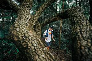 BIB: 
                            <button type="button" onclick="openModal(25394162)" class="btn btn-primary btn-sm float-right btn-popup" data-toggle="modal" data-target=".modal-high-quality">
                        <i class="fas fa-shopping-cart"></i> Add to Cart
                    </button>
                                            <button type="button" onclick="isThisMe(25394162, true)" class="btn btn-success btn-sm float-right btn-popup btn-isme hidden" data-toggle="tooltip" data-placement="bottom" title="นี่คือรูปของคุณใช่ไหม คลิกที่นี่เพื่อเอาเข้าอัลบั้ม">
                        <i class="fas fa-plus"></i> Add to album
                    </button>
                    <button type="button" onclick="isThisMe(25394162, false)" class="btn btn-warning btn-sm float-right btn-popup btn-isnotme hidden">
                        <i class="fas fa-ban"></i> Remove from album
                    </button>